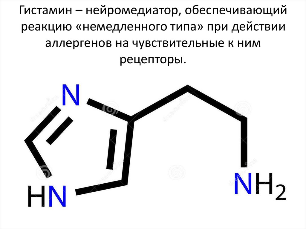 Гистамин – нейромедиатор, обеспечивающий реакцию «немедленного типа» при действии аллергенов на чувствительные к ним рецепторы.