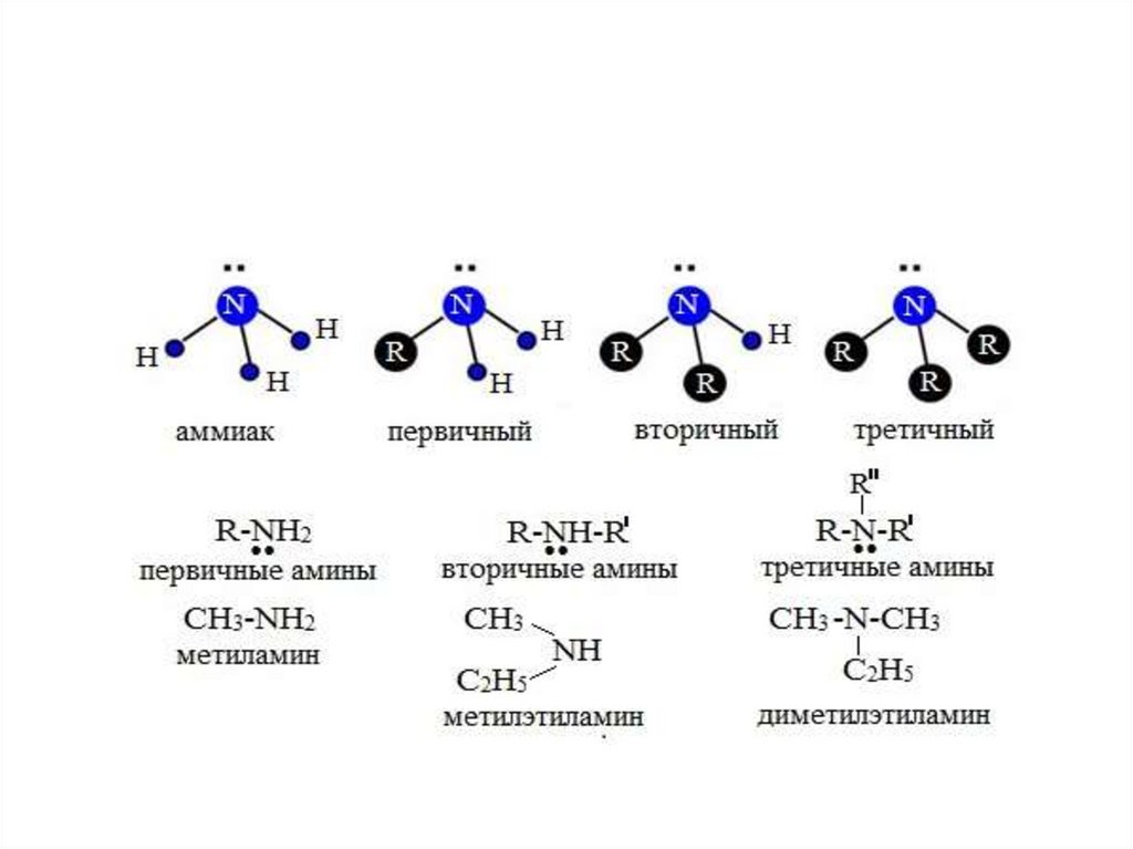 Формула 2 аминобутановой кислоты