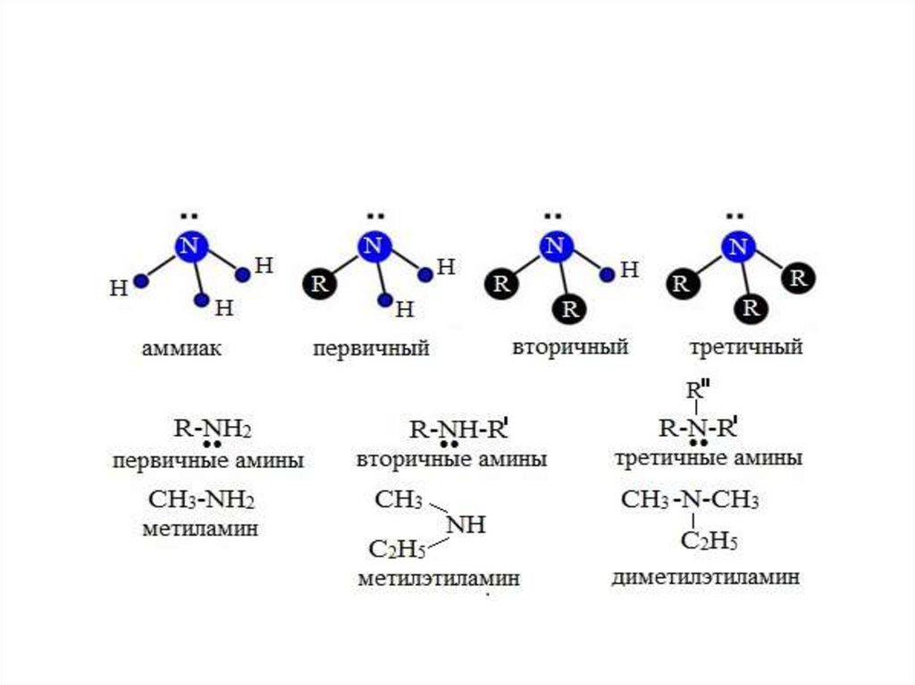 Строение первичных аминов