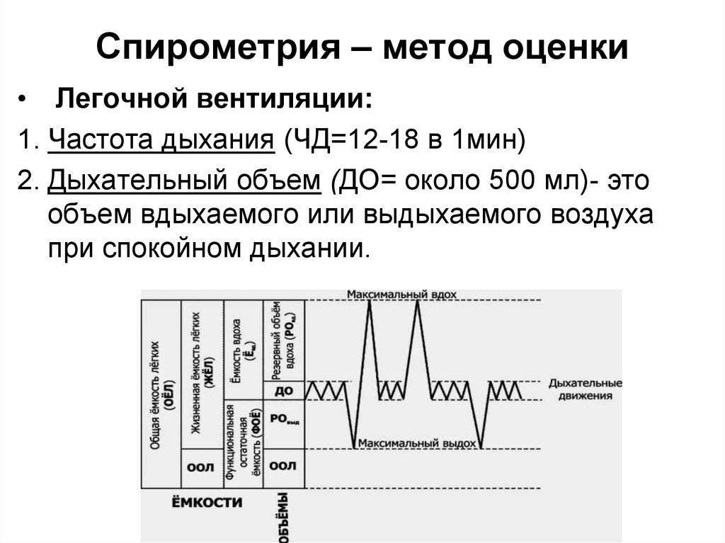 Фвд спирография