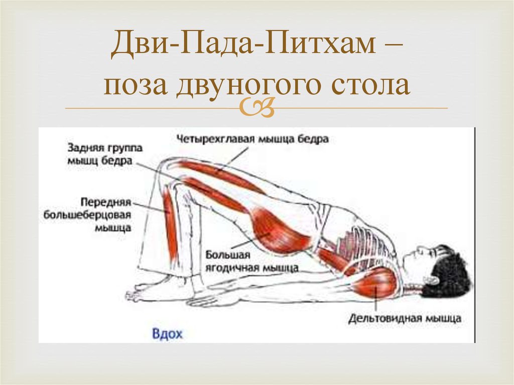 Имя пада. Дви пада питхам. Двипада-питхасана. Дви пада питхасана полумост. Асаны дви-пада-питхам.