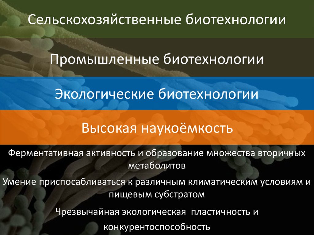 Сельскохозяйственные биотехнологии