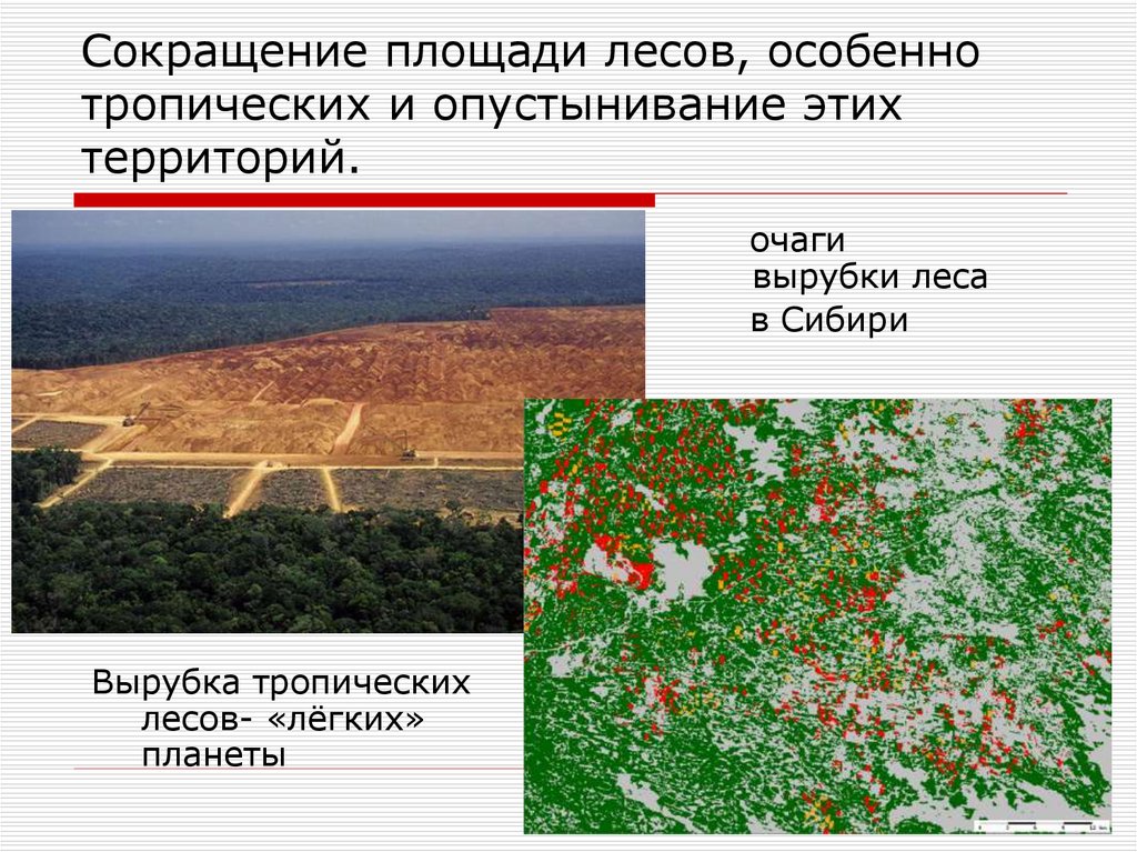 Сокращение площади лесов, особенно тропических и опустынивание этих территорий.