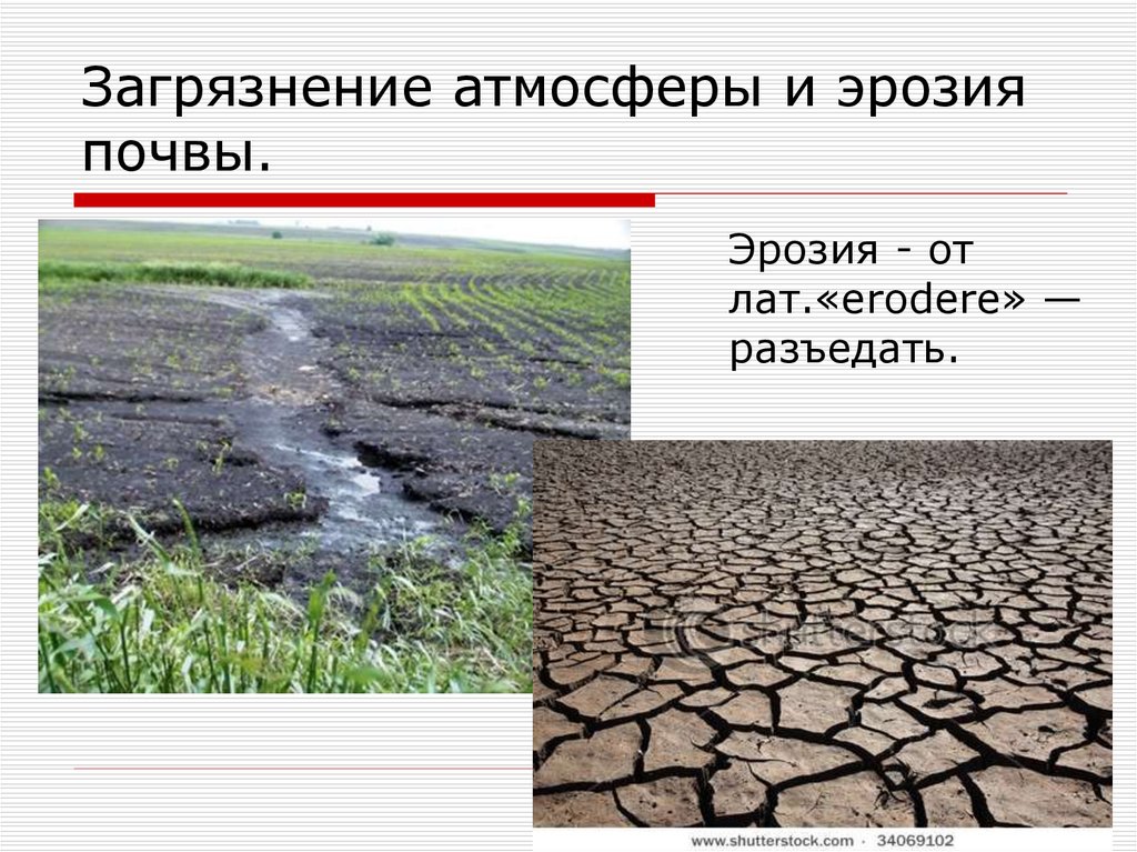 Глобальные проблемы биосферы презентация