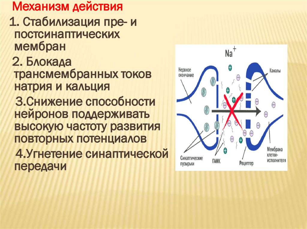 Механизм противоэпилептического действия