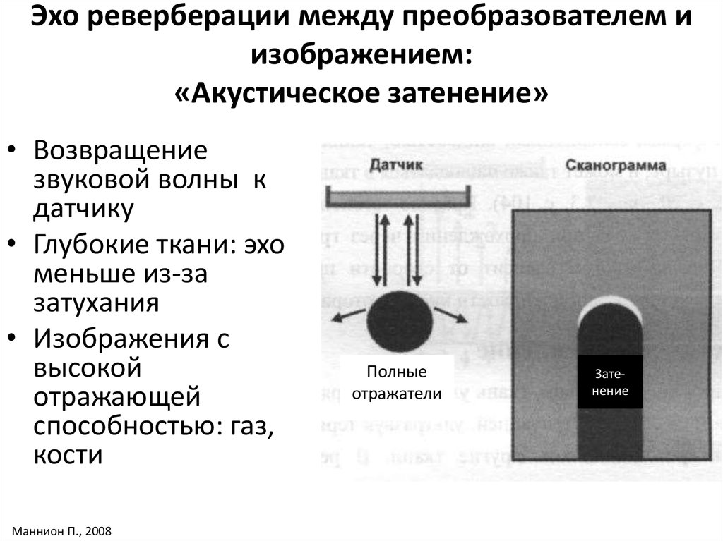 Реверберация звука это. Реверберация звука это. Первичные отражения звука. Что такое реверберация звука. Структура реверберационного процесса.