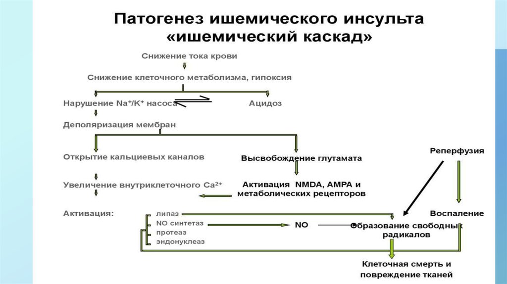 Ишемический инсульт презентация неврология