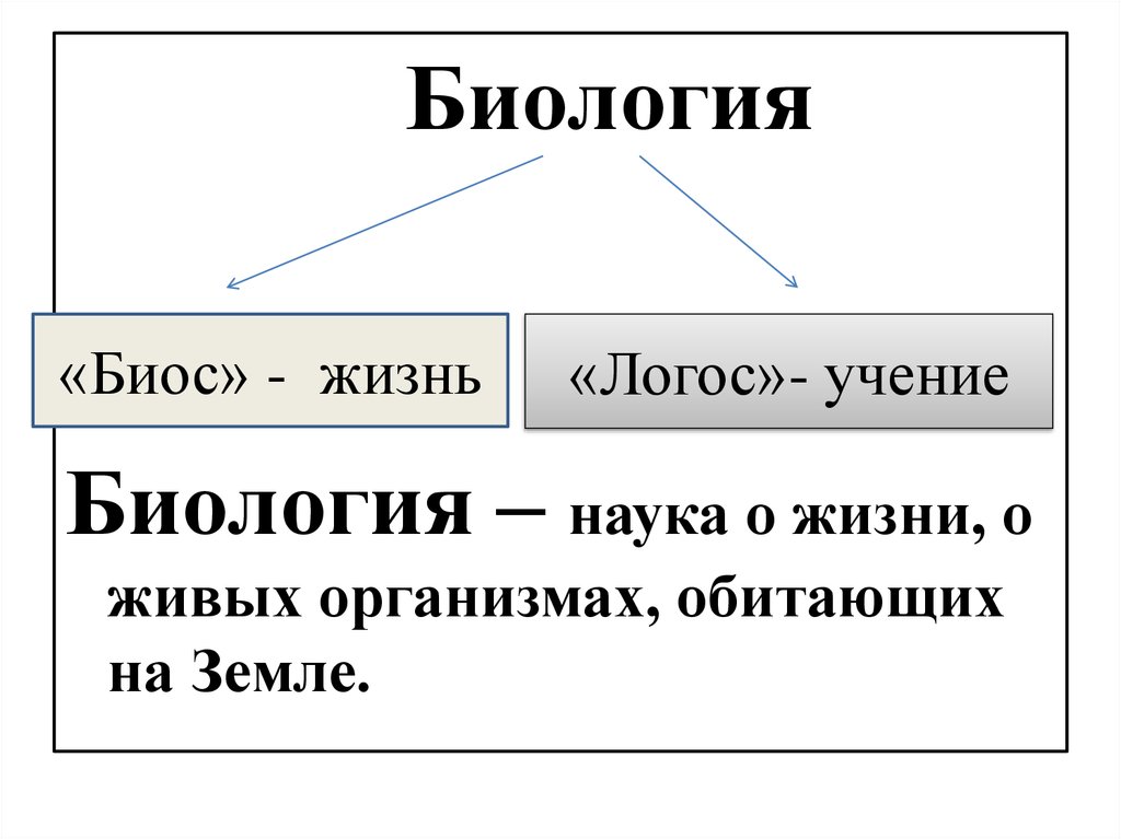 Биология и жизнь 7 класс. Науки биологии. Биология наука о жизни. Наука о живой природе. Презентация на тему биология наука о живой природе.