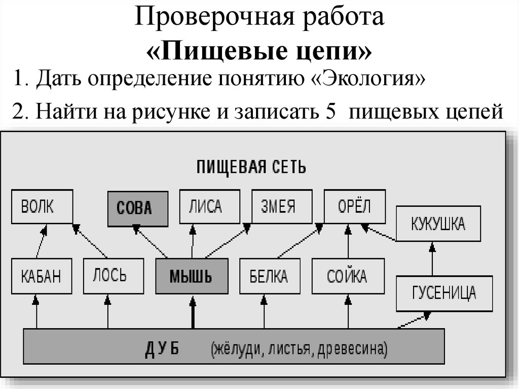 Для составления цепочек. Пищевая сеть определение. Пищевая цепочка определение. Цепь питания определение. Пищевая цепочка 11 класс.