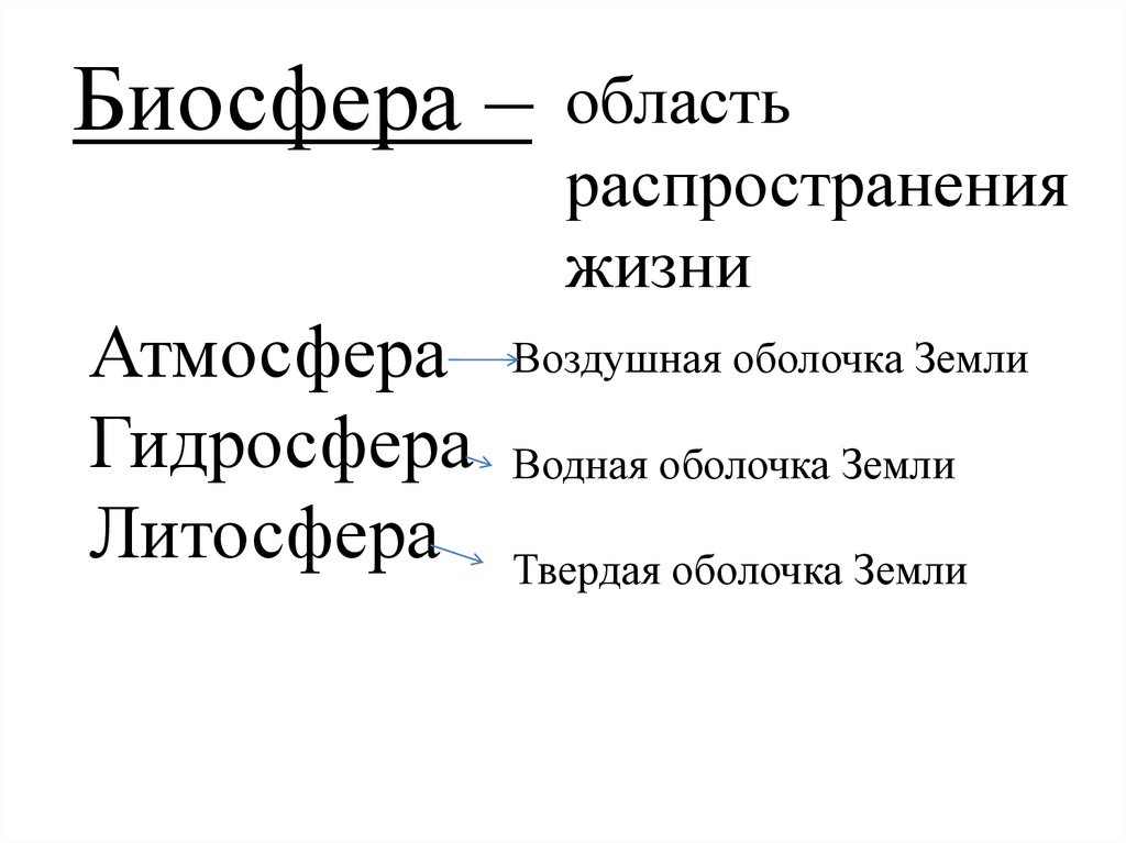 Биосфера. Области биосферы.