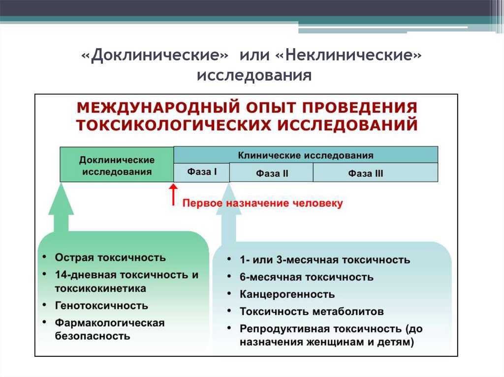 Ком исследования. Доклинические и клинические исследования лекарственных средств. Доклинические испытания лекарственных.. Этапы доклинических исследований лекарственных средств. Этапы доклинических испытаний лекарственных препаратов.