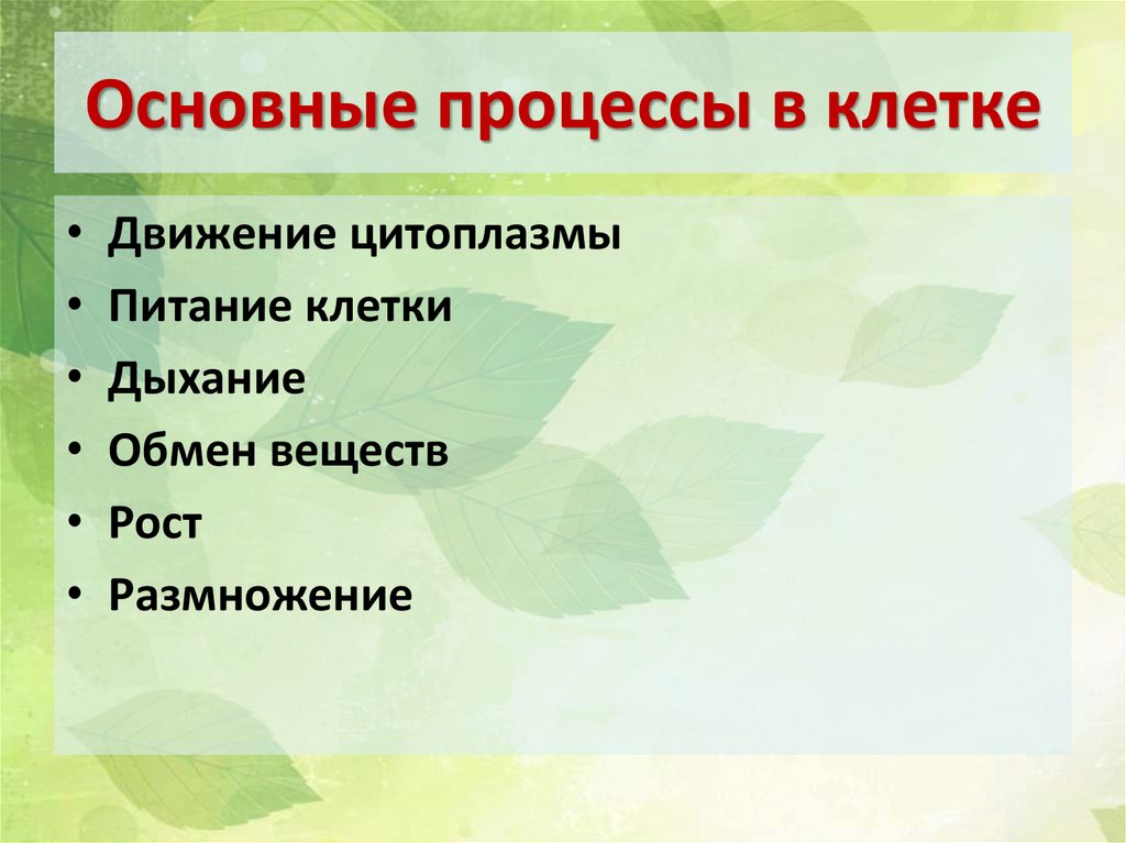 Жизнедеятельность клетки 5 класс фгос пасечник презентация