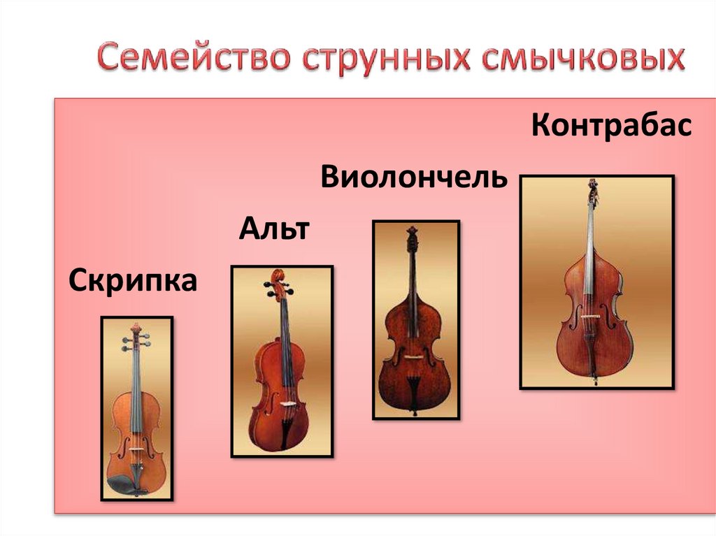 Струнные смычковые по высоте звучания. Струнно Щипковые инструменты симфонического оркестра. Инструменты симфонического оркестра струнные смычковые инструменты. Струнно-смычковые инструменты симфонического оркестра. Струнно смычковая группа.
