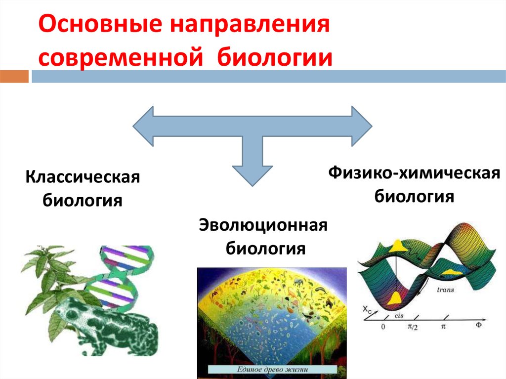 Биологическая культура