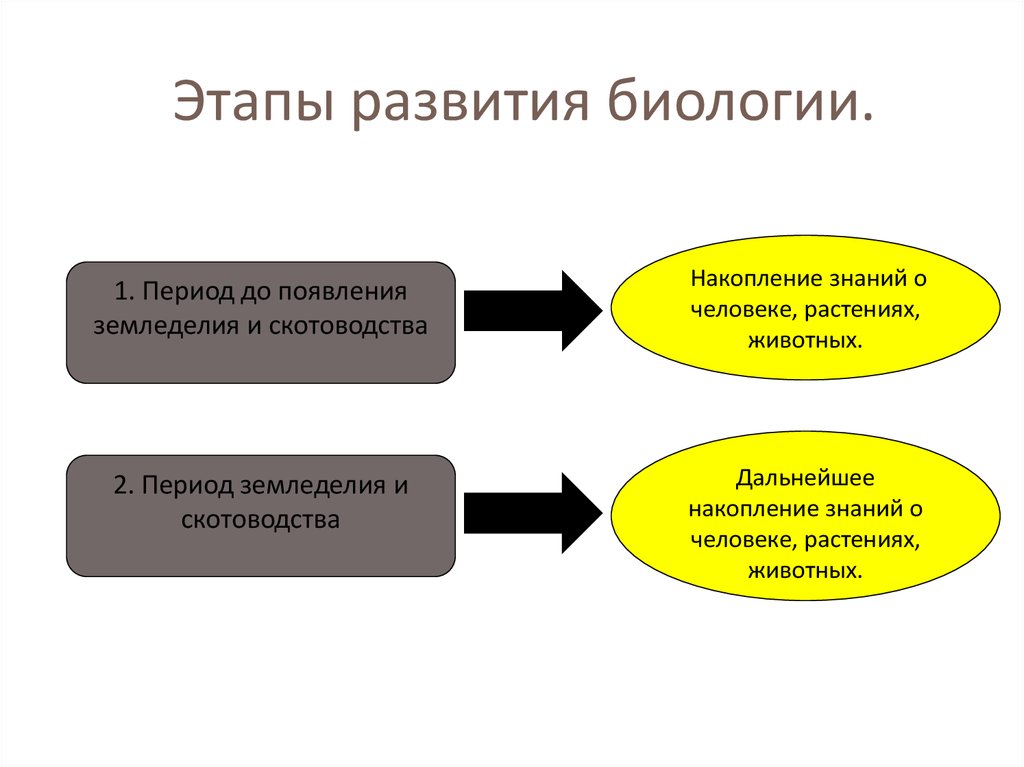 План история развития биологии