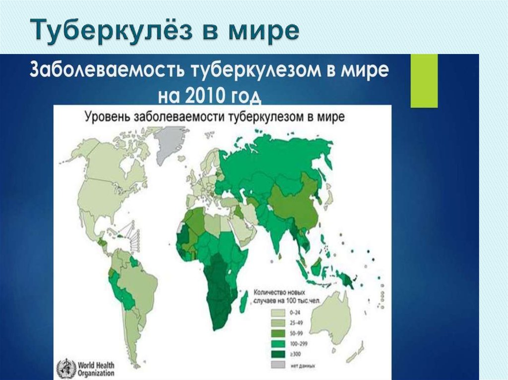 Туберкулез в сша. Распространенность туберкулеза в мире карта. Карта заболеваемости туберкулезом в мире. Распространенность туберкулеза в мире. Статистика туберкулеза в мире.