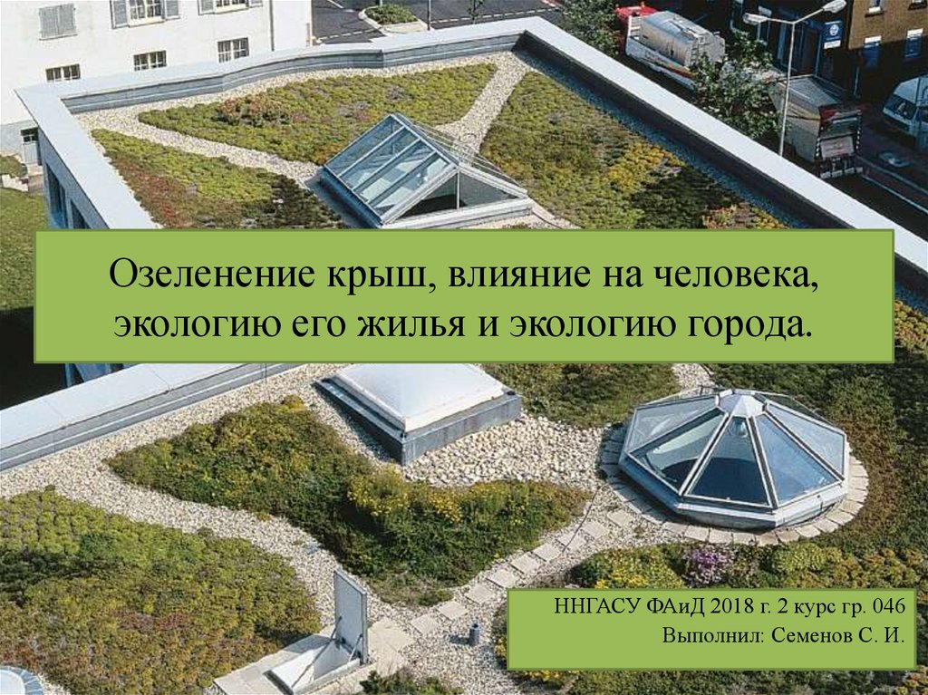 Зеленая крыша читать