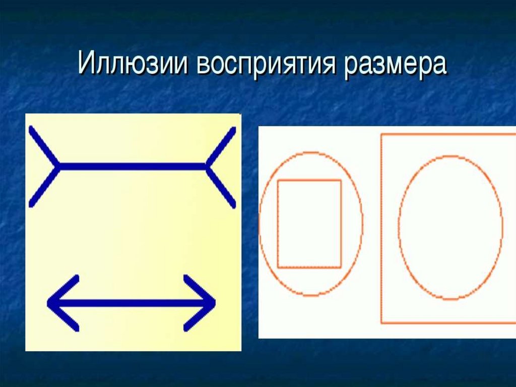 Восприятие фигуры. Иллюзия восприятия размера. Оптические иллюзии размера. Иллюзии зрительного восприятия. Оптический обман восприятия размера.