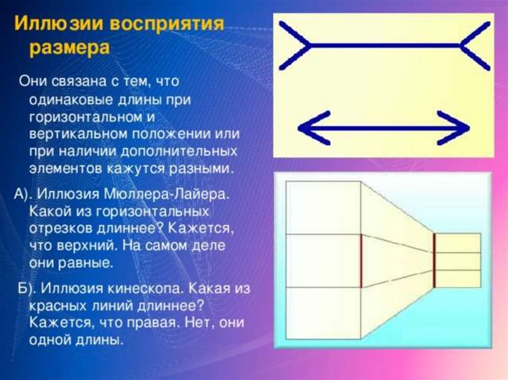 Почему мы видим фигуры человека такими объясните. Иллюзия восприятия размера. Зрительные иллюзии размера. Оптические иллюзии размера. Иллюзии восприятия длины.