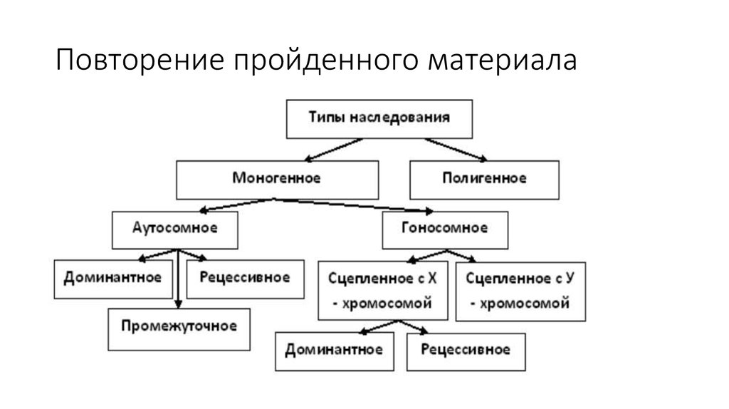 Типы наследования схемы