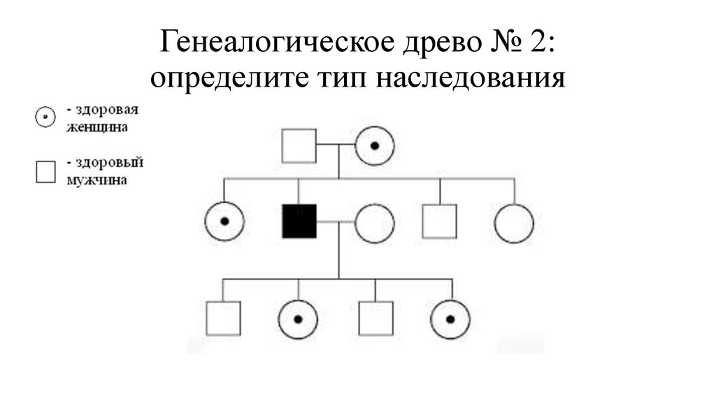 План по теме наследование