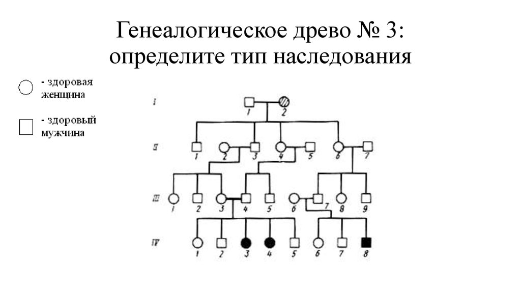 Изучите схему и определите тип наследования признака поясните определите генотипы 1234