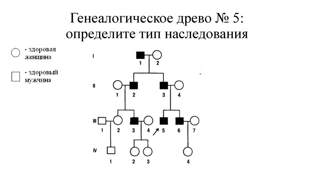 По схеме родословной определите тип наследования