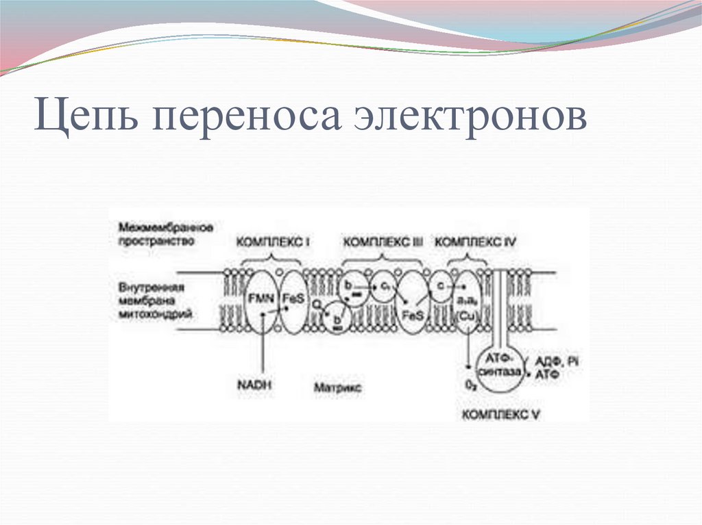 Схема электронов