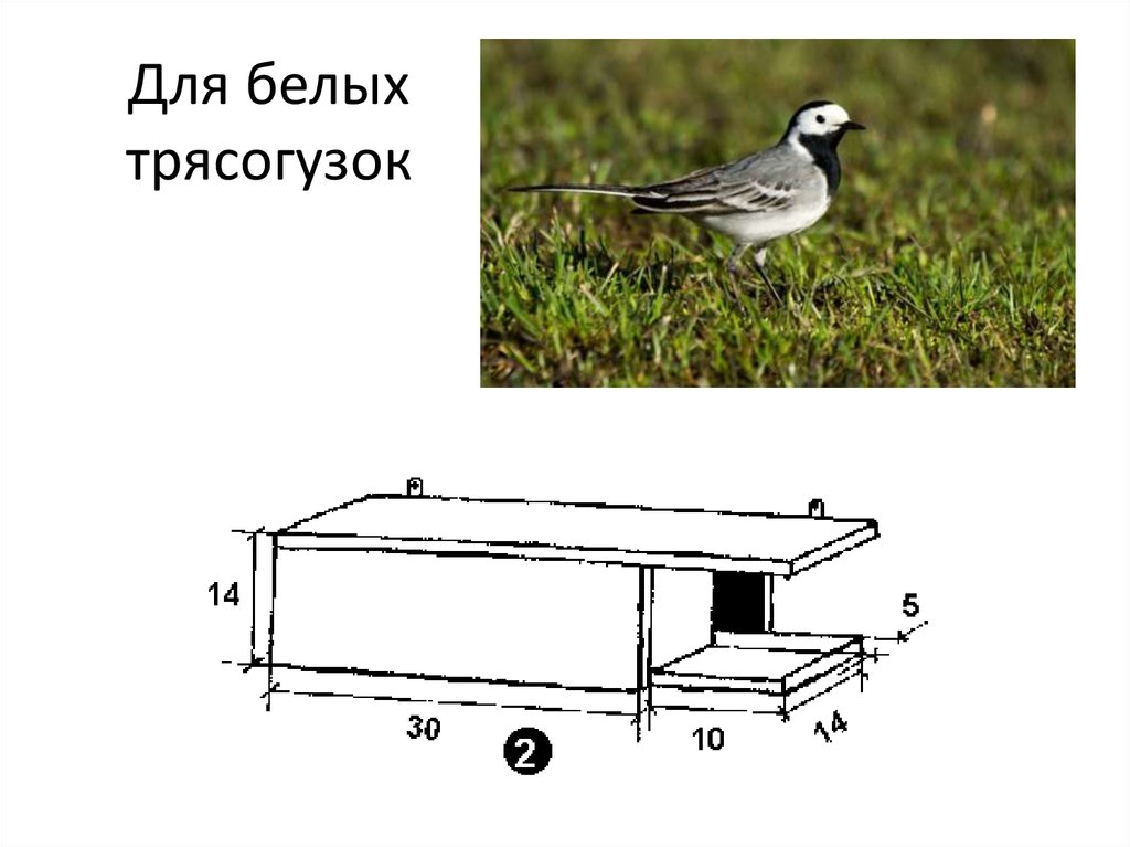 Домик для птиц презентация