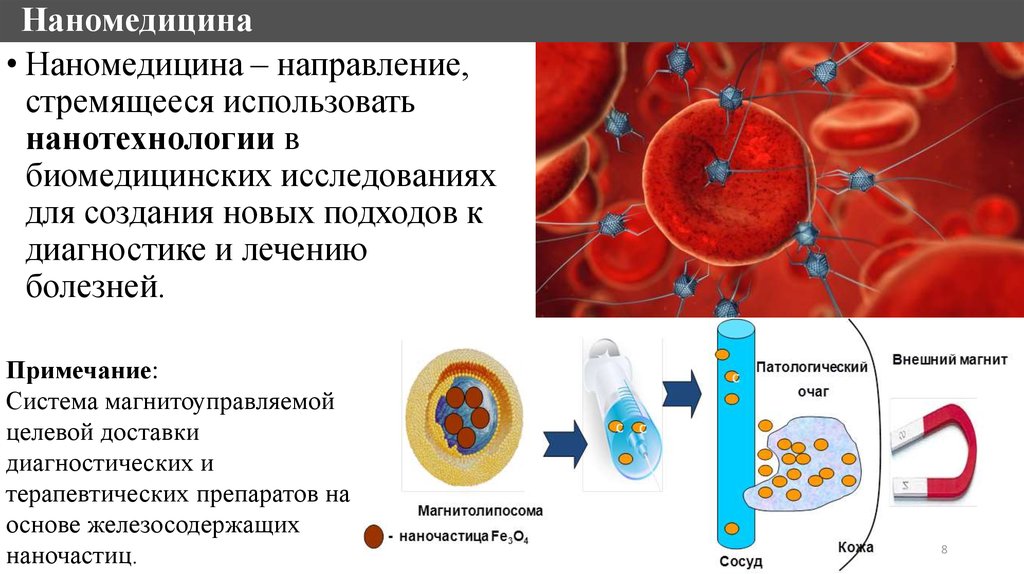 Прим систем. Наномедицина направления. Наномедицина презентация. Наночастицы лекарства. Основные направления наномедицины:.