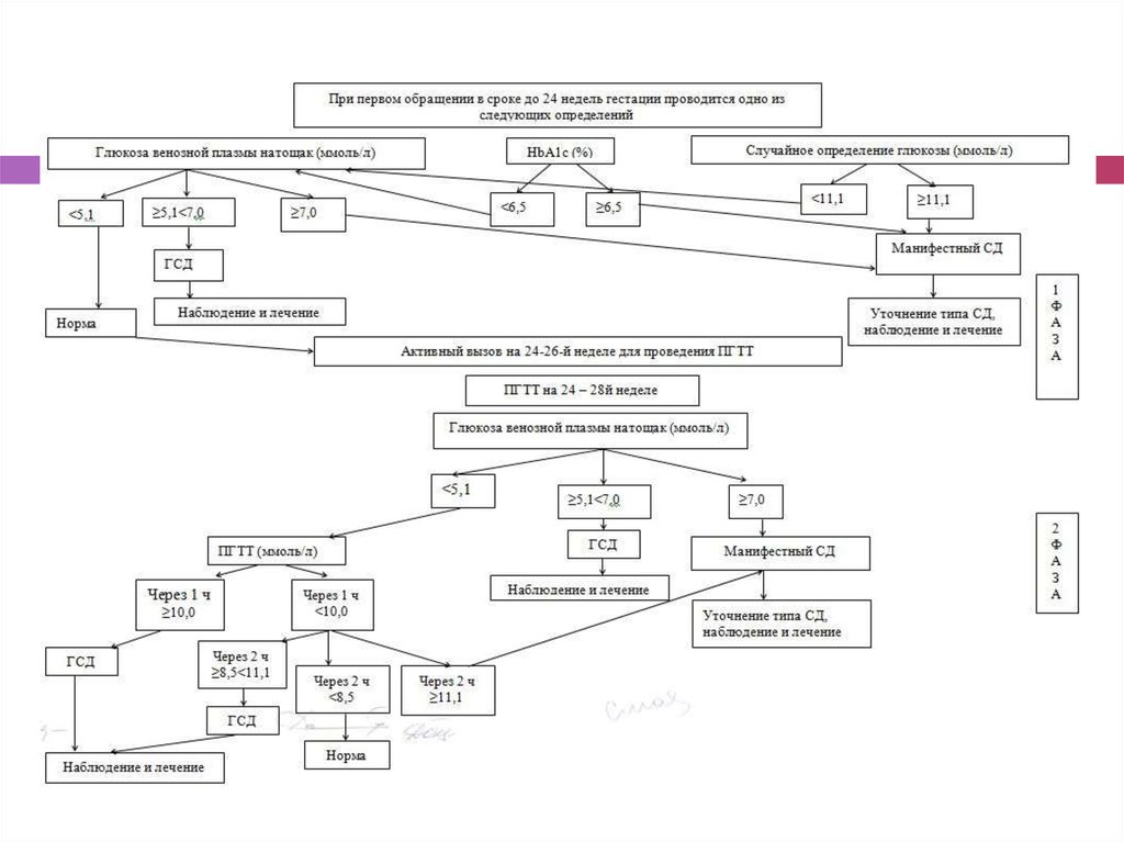 Алгоритмы диабет. Гестационный сахарный диабет патогенез схема. Алгоритм диагностики сахарного диабета. Алгоритм диагностики ГСД. Патогенез гестационного сахарного диабета.