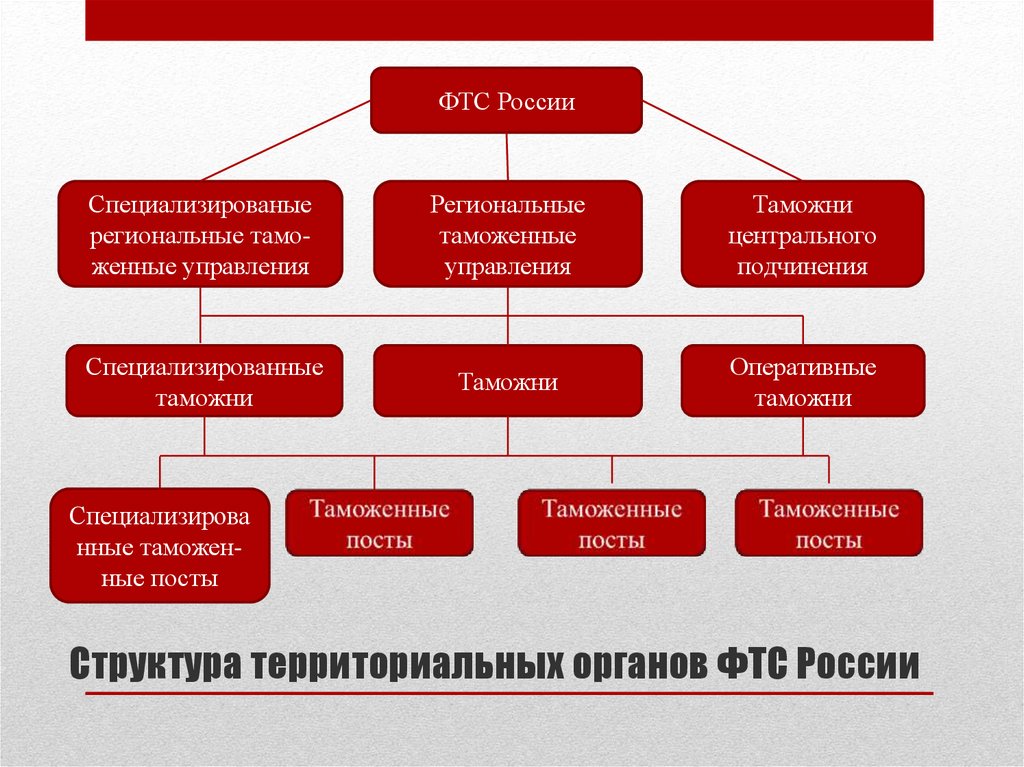 Органы таможни. Структура ФТС России схема. Структура таможенных органов подчиненность.