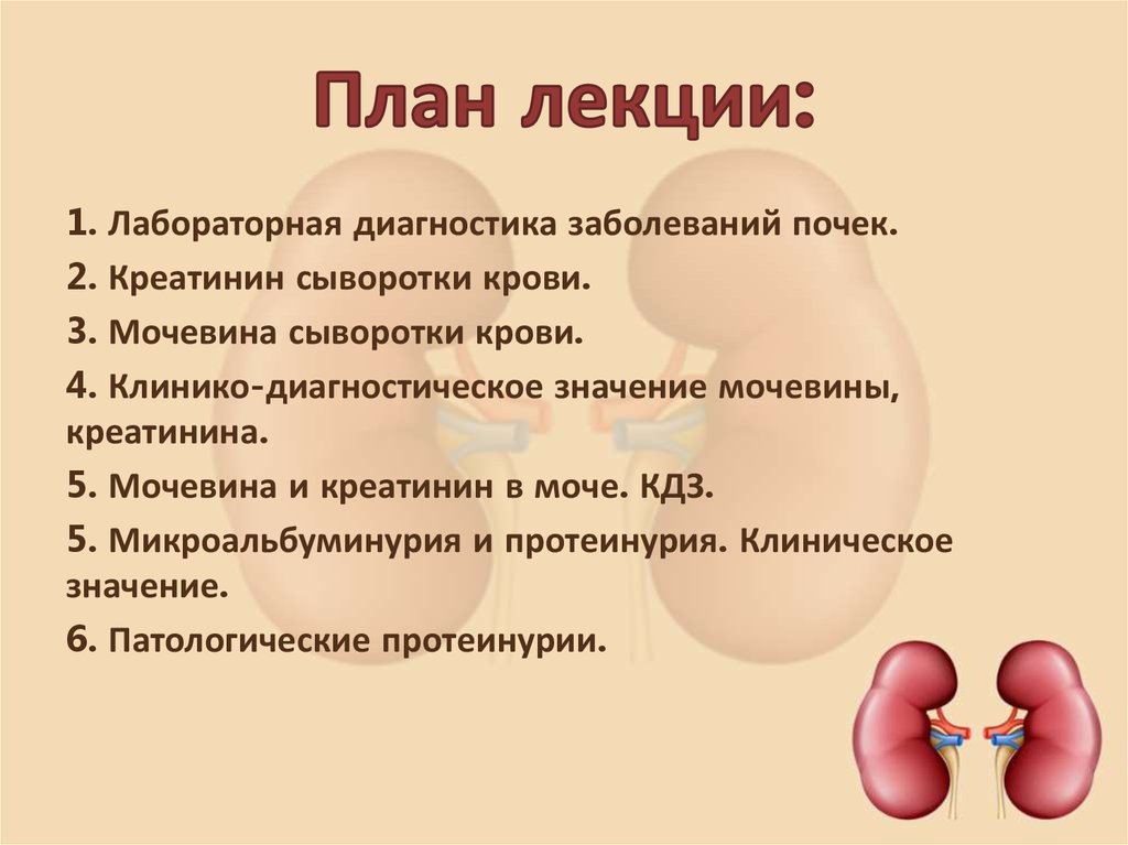 Болезнь почек диагноз