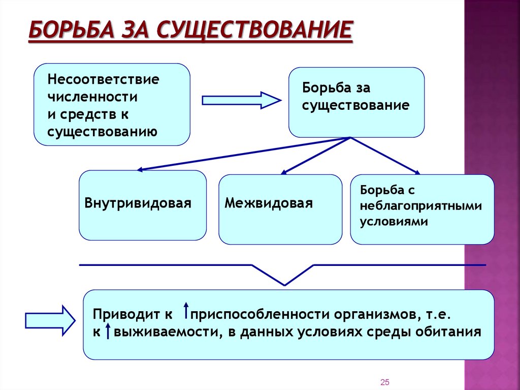 Основная причина борьбы за существование