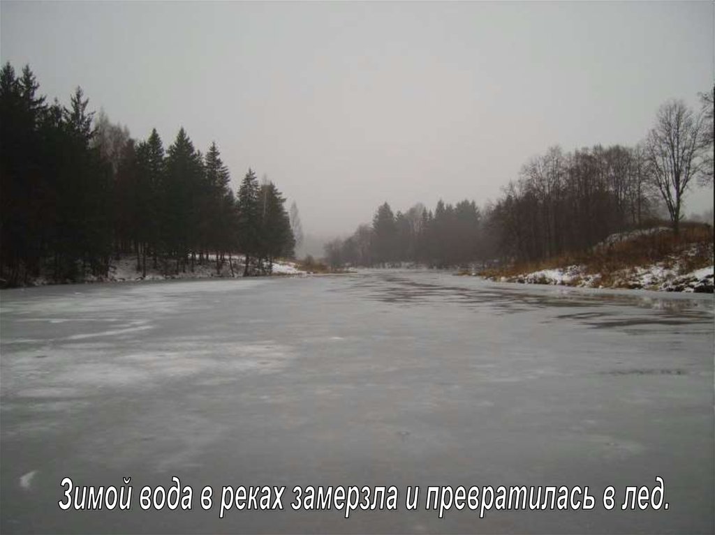 Вода в реке замерзла. Пруд река заледенели. Замерзшая речка. Вода в реке зимой. Замерзшая река тает.