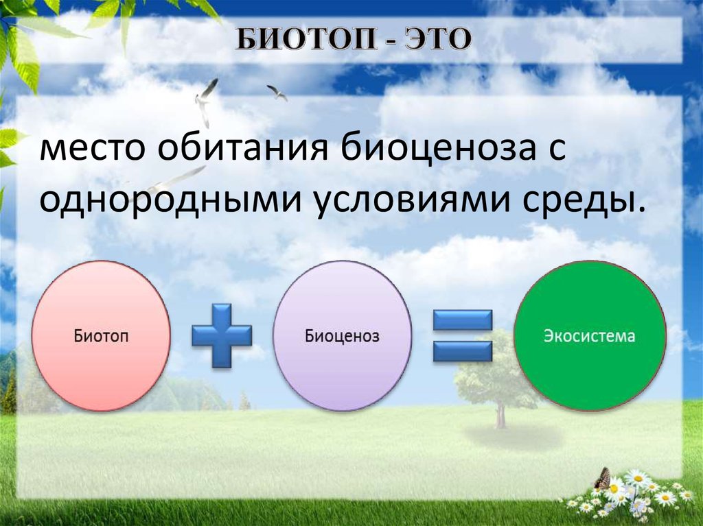 Прокомментируйте схему биогеоценоз биоценоз биотоп