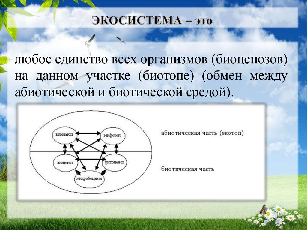 Схема биоценоза луга