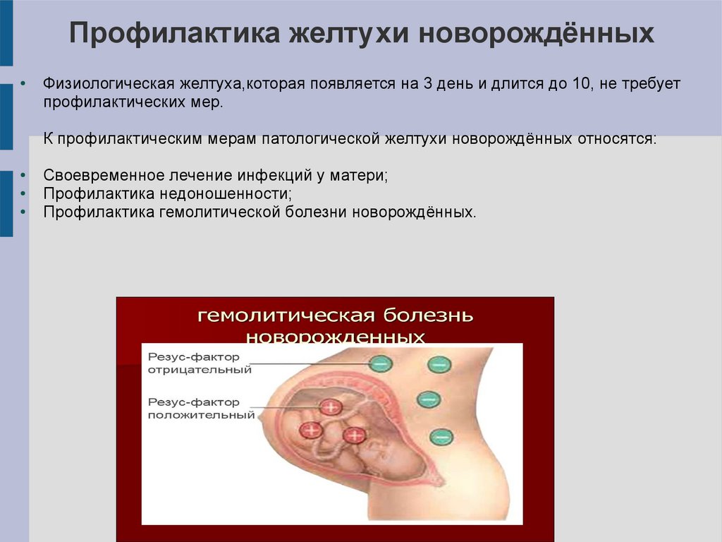 Желтухи новорождённых. Особенности ухода за больными детьми - презентация  онлайн