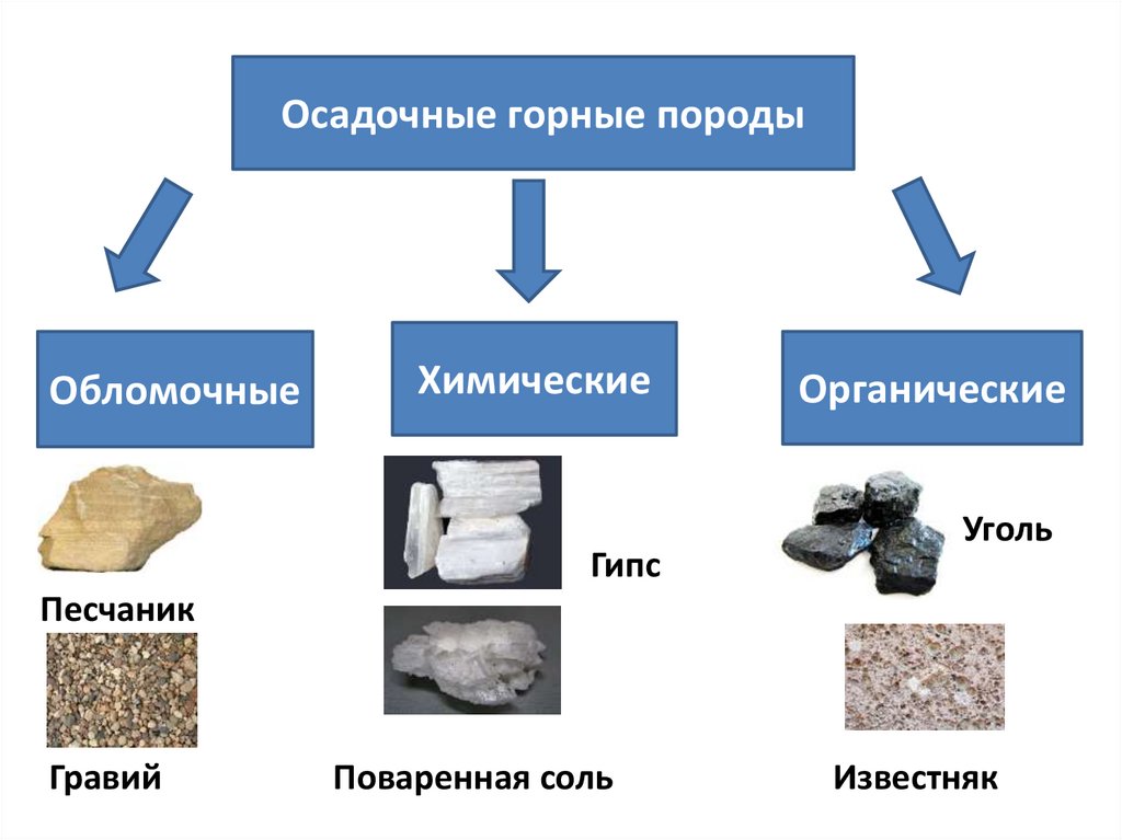 Перечисли горные породы. Осадочные горные породы осадочные горные породы. Осадочные горные породы 5 класс география. Осадочные органические обломочные горные породы. Осадочные горные породы обломочные химические.