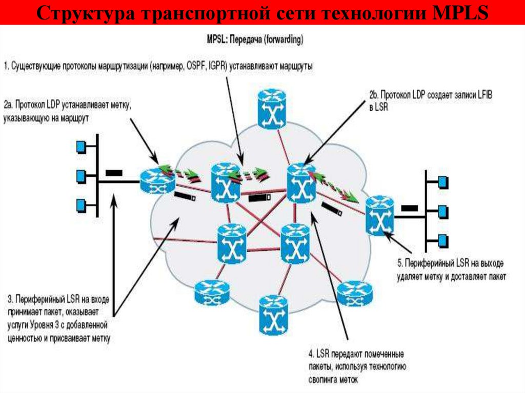 Структура транспортной сети технологии MPLS