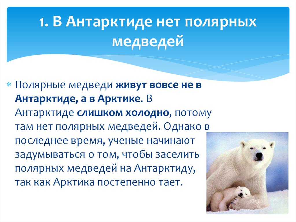 1. В Антарктиде нет полярных медведей