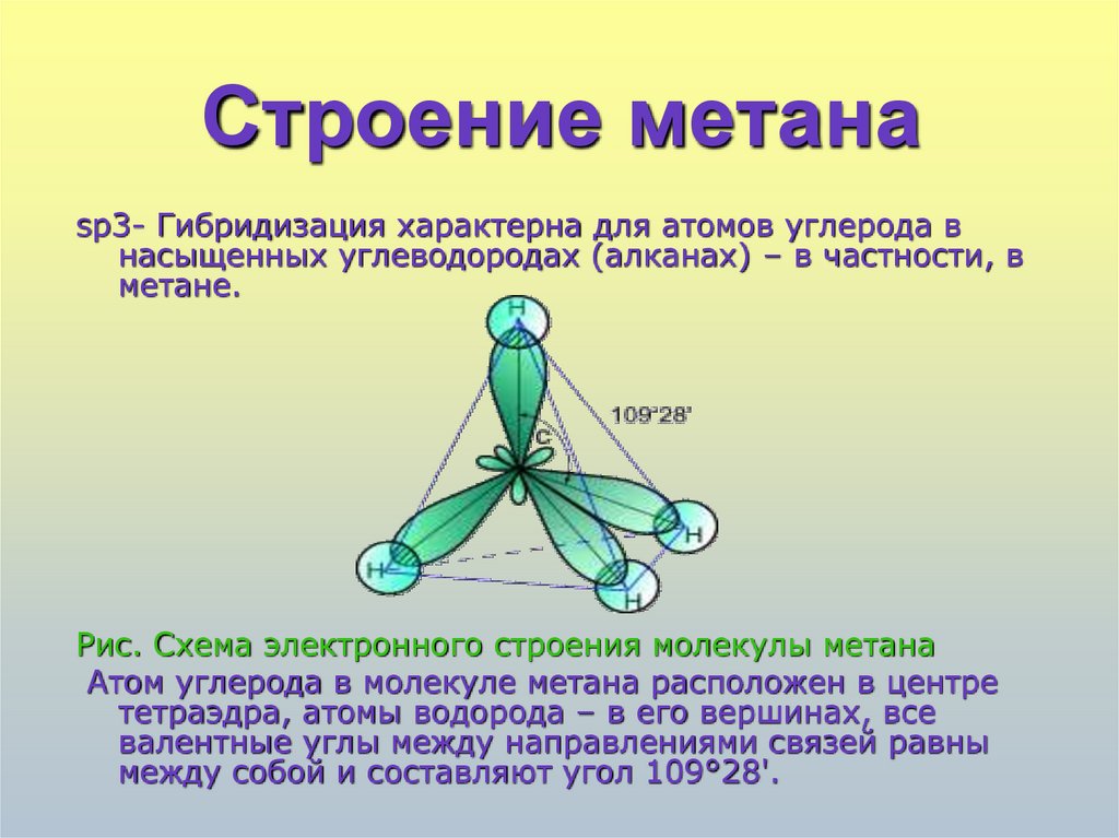 Состояние атома углерода в алканах. Строение молекул метана связи. Строение метана алканы. Молекула метана sp3. Строение молекулы метана.