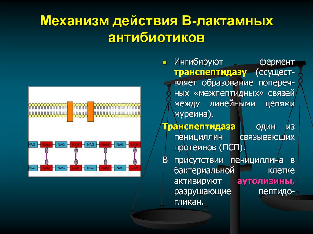 Открытие антибиотиков