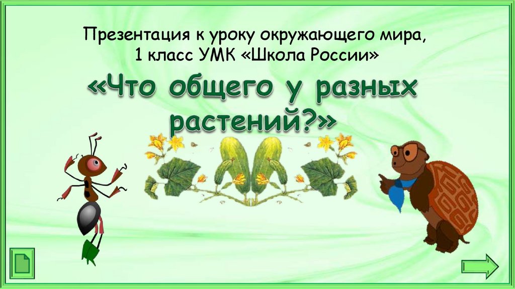 Итоговый урок по окружающему миру 1 класс школа россии презентация