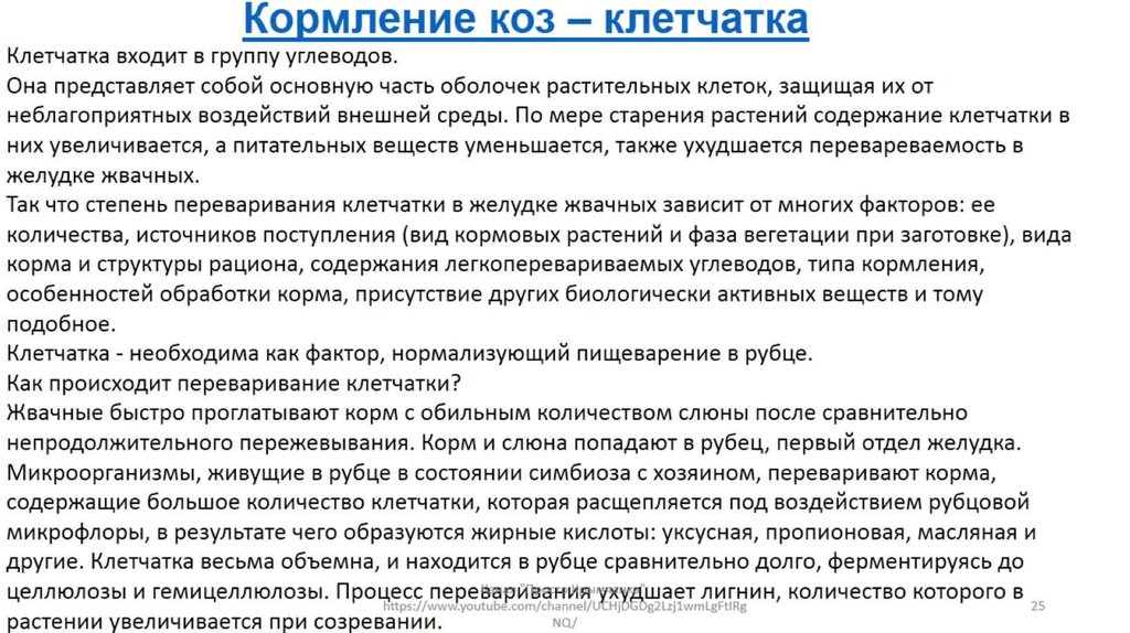 Кормление козы после. Чем кормить козу. Какие овощи можно давать козам. Кормление козы в домашних условиях. Коза кормит козленка.