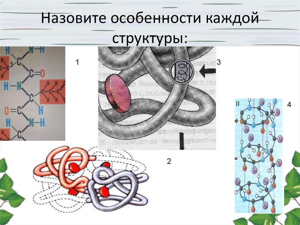 Назовите особенности. Назовите особенности каждой структуры. Назовите особенности каждой структуры: 1 3. В каждой структуре.