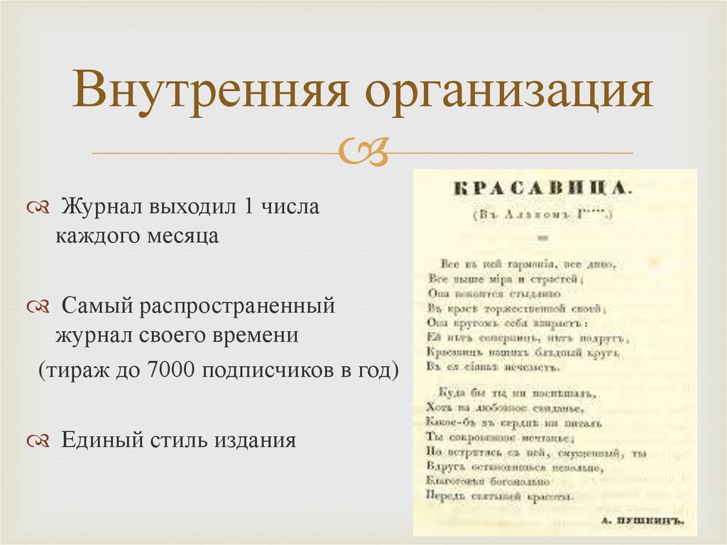 Внутренняя организация