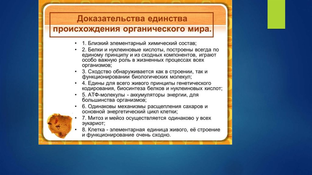 Единство происхождения клеточных организмов