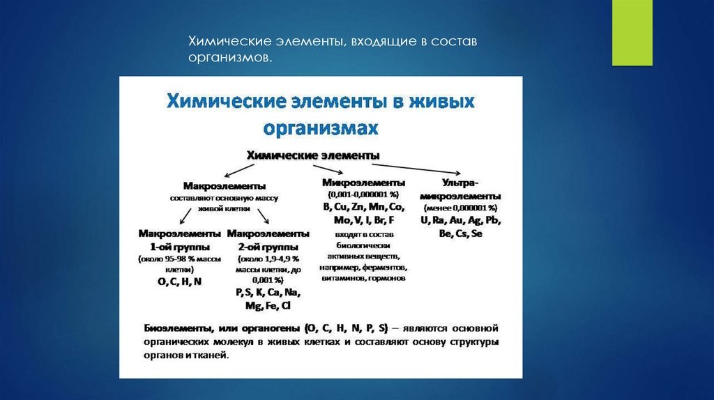 Элемент входит в состав. Элементарная структура единицы организма. Какие структурные элементы входят в состав ацилглицери-на?.