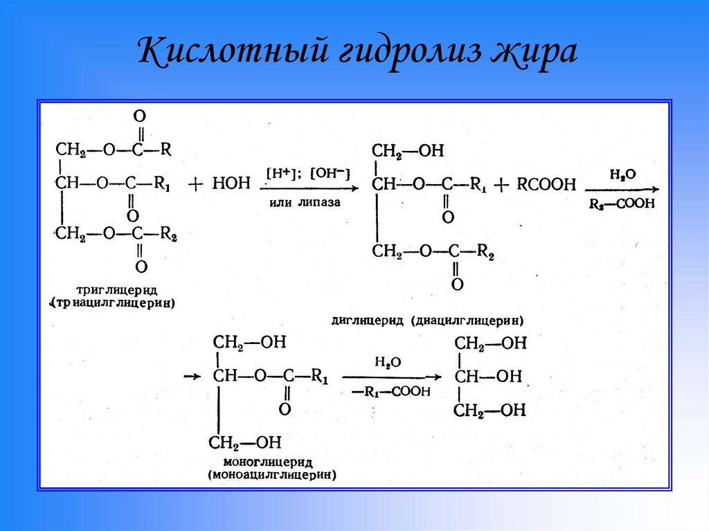 Кислый гидролиз жиров. Олеопальмитостеарин кислотный гидролиз. Щелочной гидролиз жира c15h31. Кислотный гидролиз продукт гидролиза. Кислотный гидролиз фосфатидилсерина реакция.
